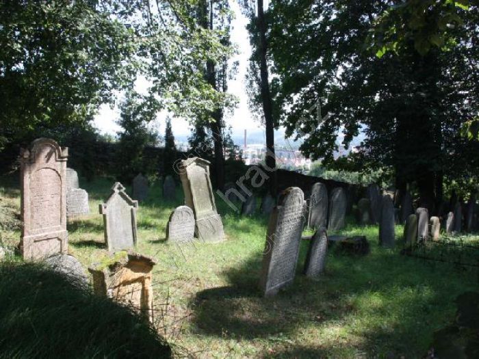 nový židovský hřbitov