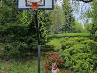 basket, zahrada - Frýdlant nad Ostravicí