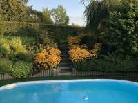 Zahrada s bazénem u domu - srpen - apartmán k pronájmu Ostravice