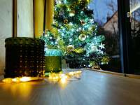 Vánoce v Tiny Gold - chata k pronájmu Štramberk