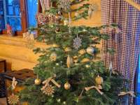 Srub vánoční stromeček - Čeladná
