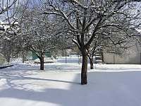 Zahrada pod sněhem - Karolinka