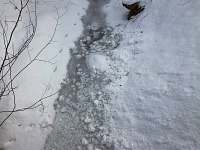 Zamrzlý potok - chalupa k pronájmu Karolinka
