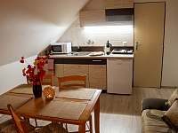 Třílůžkový apartmán kuchyně - Vysoká Lípa