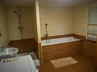Koupelna s vanou, sprchovým koutem, toaletou a pračkou - pronájem chalupy Kámen
