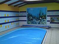 krytý bazén - pronájem rekreačního domu Janská