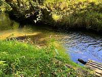 Pohádková chalupa s rybníkem a ostrovem - chalupa k pronajmutí - 4 Trávníček