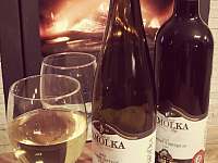 Pohoda nejen v chladných měsících...kvalitní moravská vína u nás k dispozici - chalupa ubytování Turnov - Pelešany