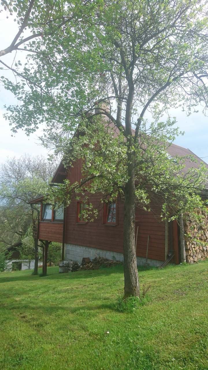 Chata ubytování v Bozkově