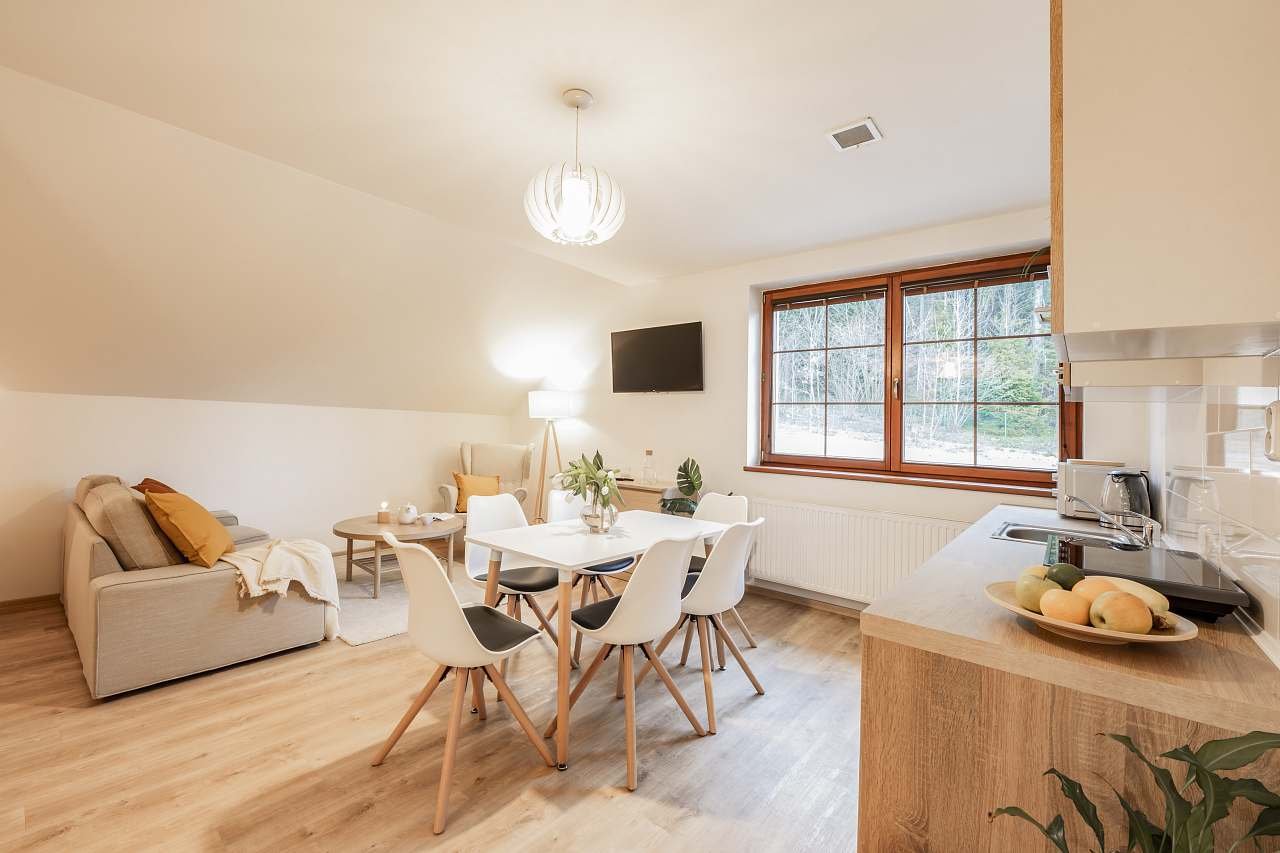 ubytování Lyžařské středisko Vesec - apartmán na horách - Liberec