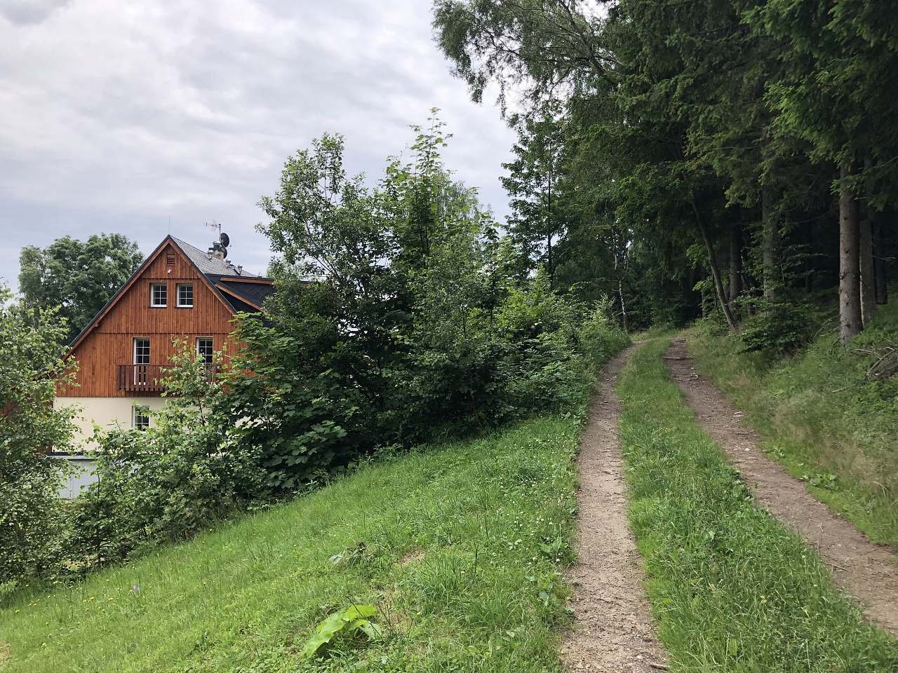 Apartmán Janina - Lesní cesta nad apartmánem