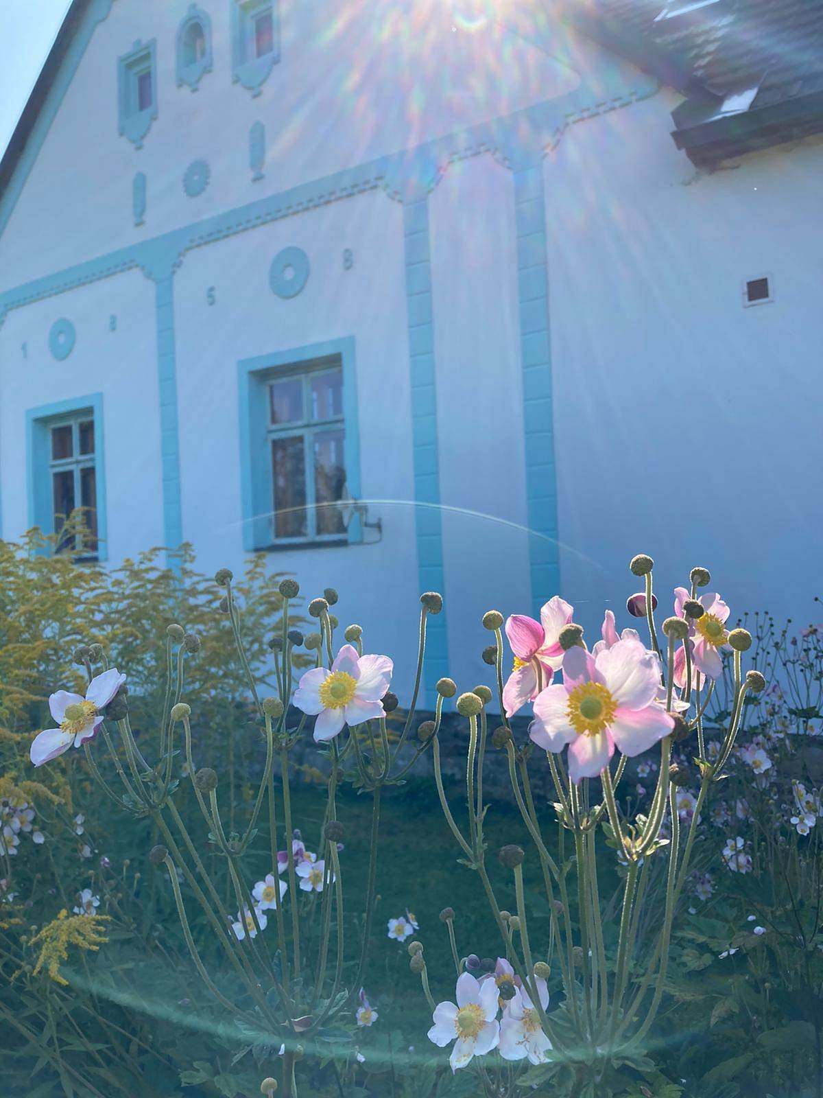 Detail výhledu ze zahrady, brzký podzim