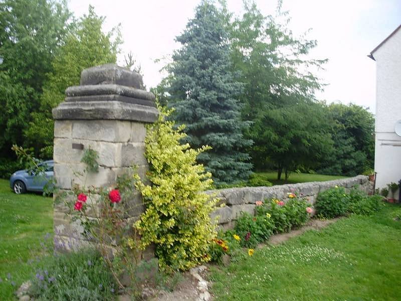 dvůr se vzrostlými stromy