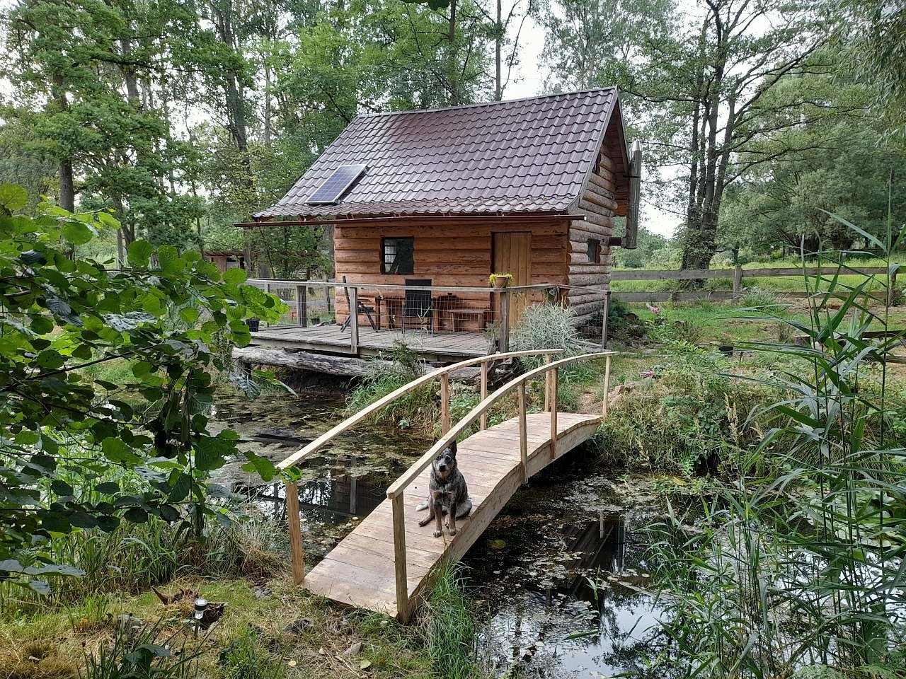 Glamping pod hradem Česká Kamenice
