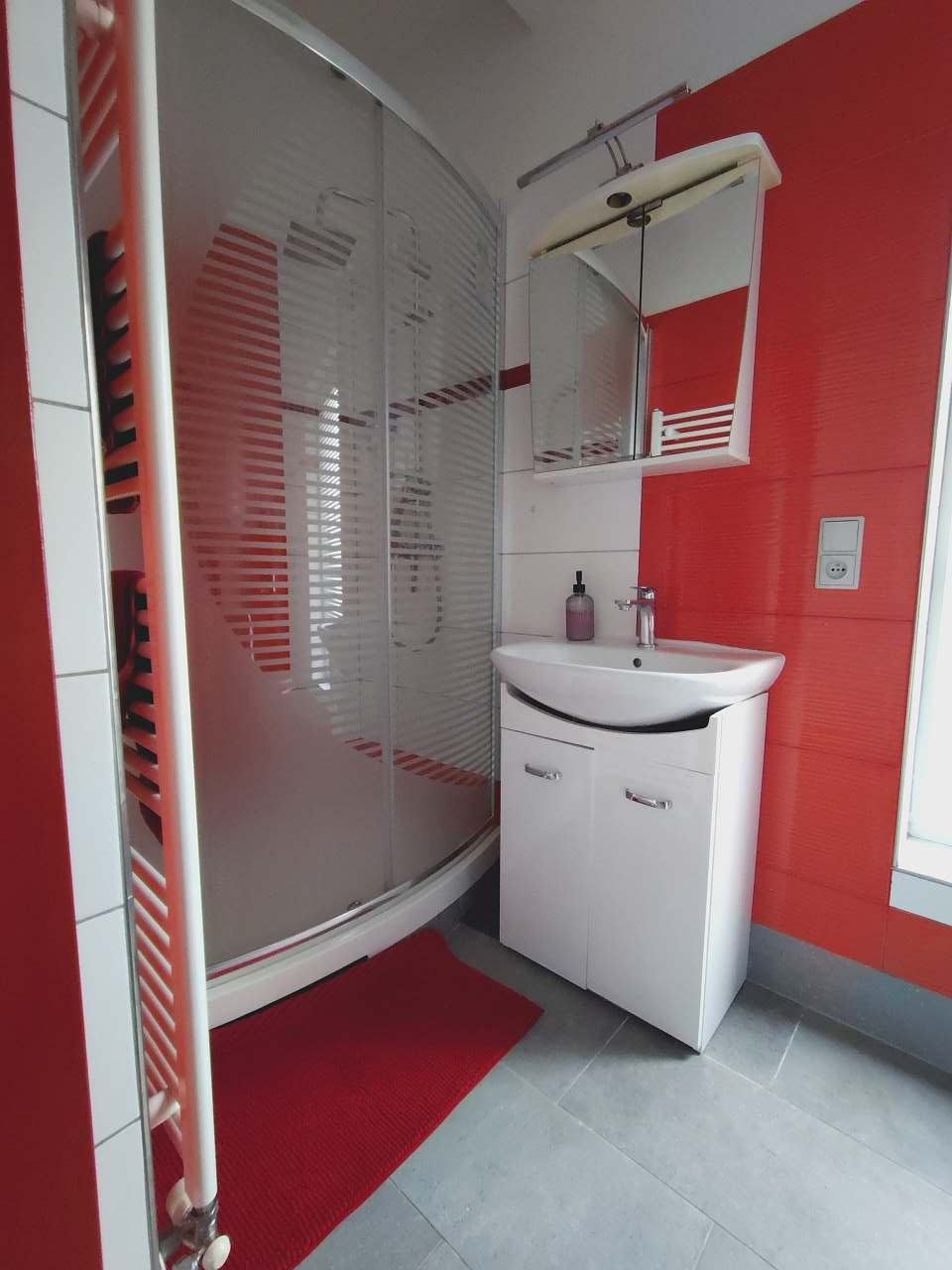 koupelna se sprchovým koutem