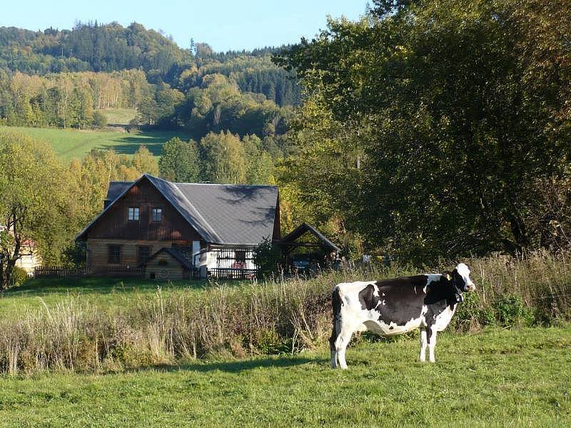 Chalupa k pronájmu - Dětřichov - Jeseníky