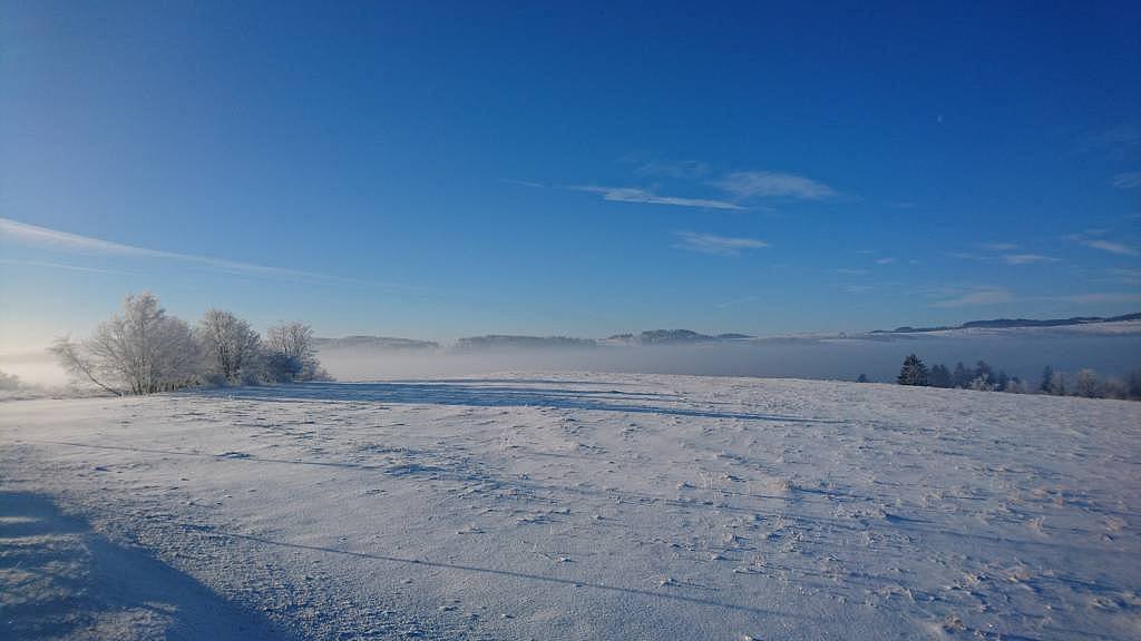 Louka za chalupou v zimě