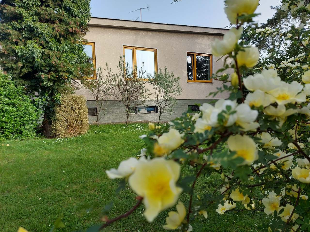 Mikulov Ubytování U Babičky