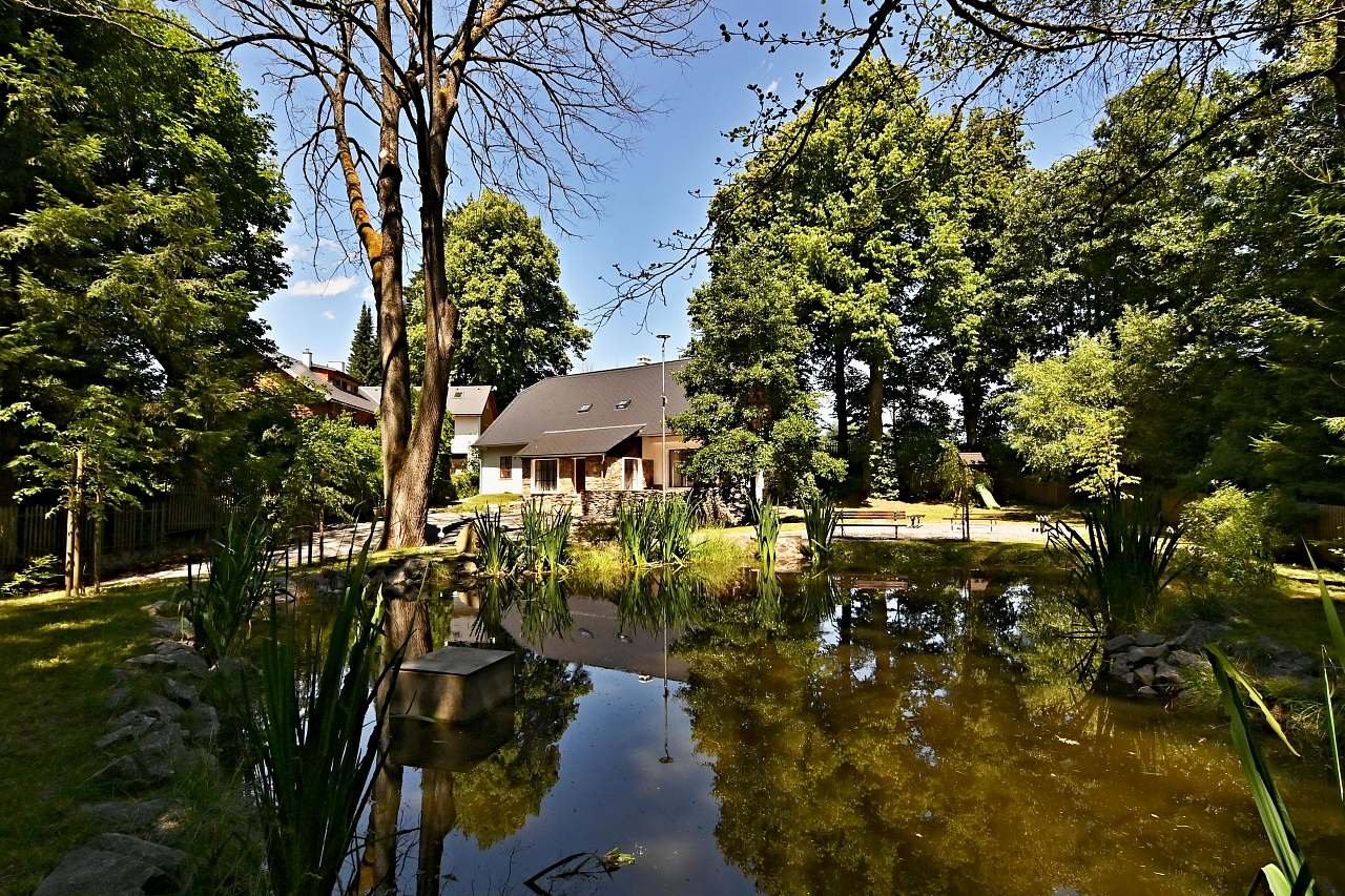 Mlýn Vikinek - rybník