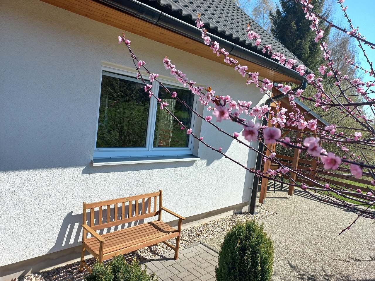 Podjedlovka na jaře