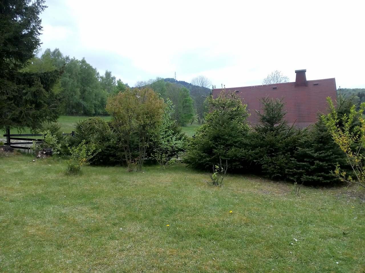 Pohled z chaty na horu Jedlová