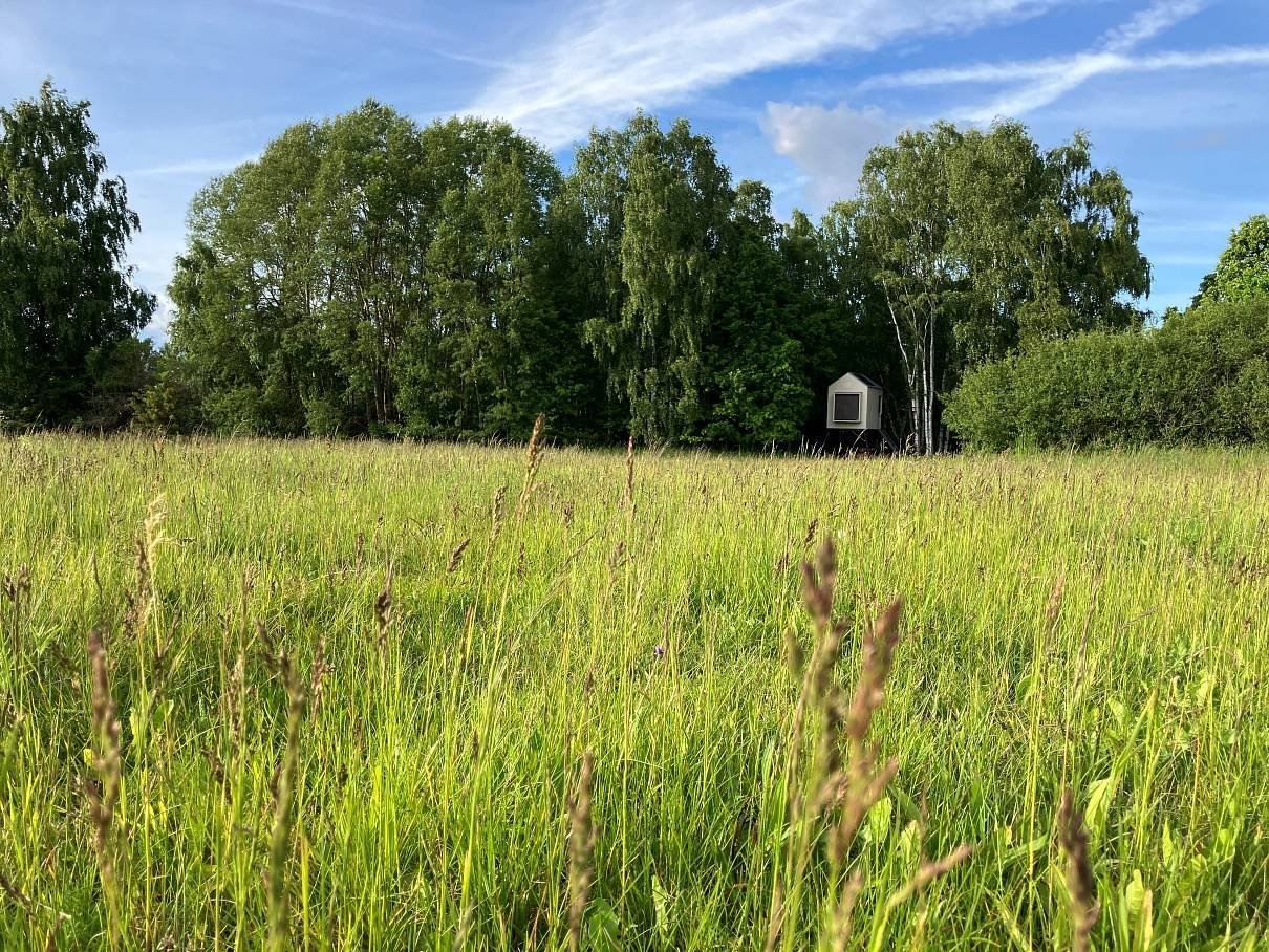 Posed V remízu - pohled z exteriéru - VII