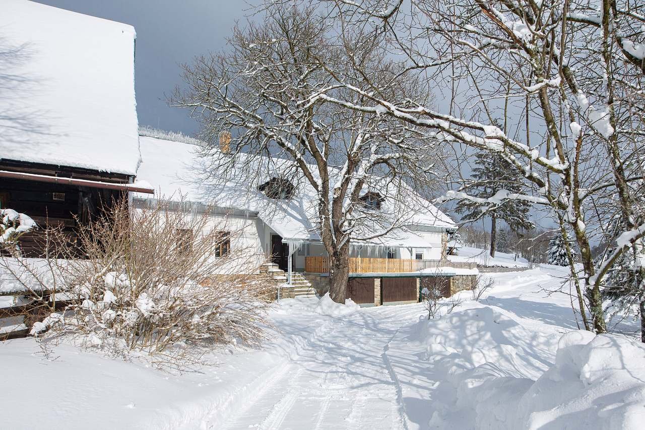 Příjezdová cesta v zimě