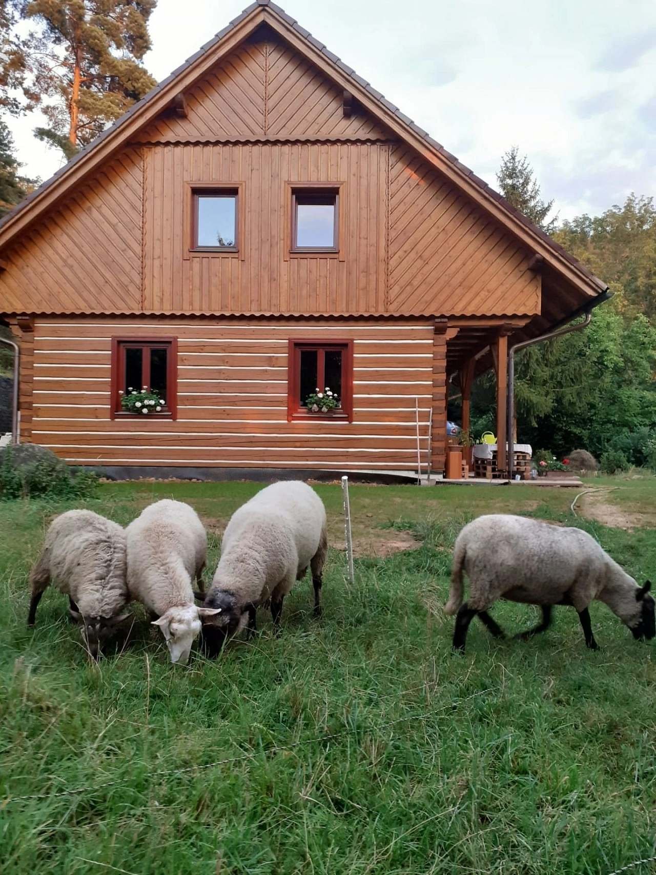 Roubenka Helenka Mašov