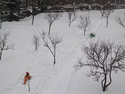Sánkovanie na svahu za chatou