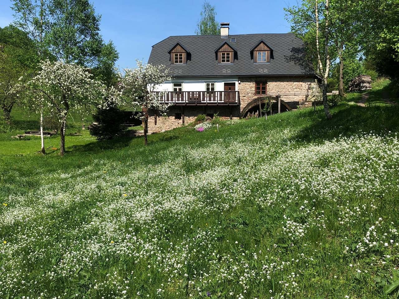 Scholzův mlýn a louka, kde tančí víly.