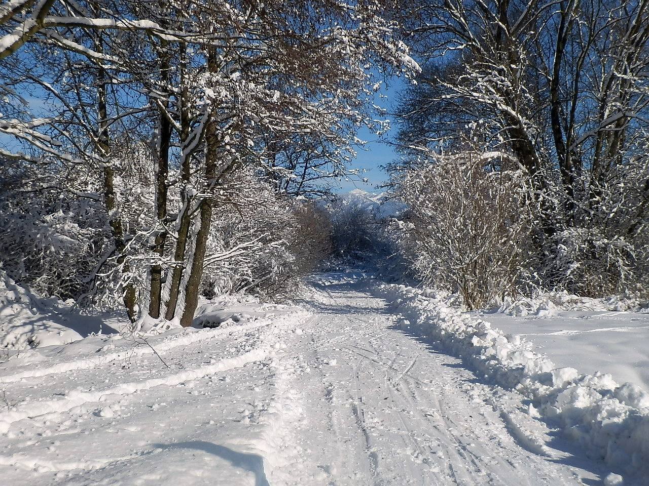 stezka 400 m od drevenice