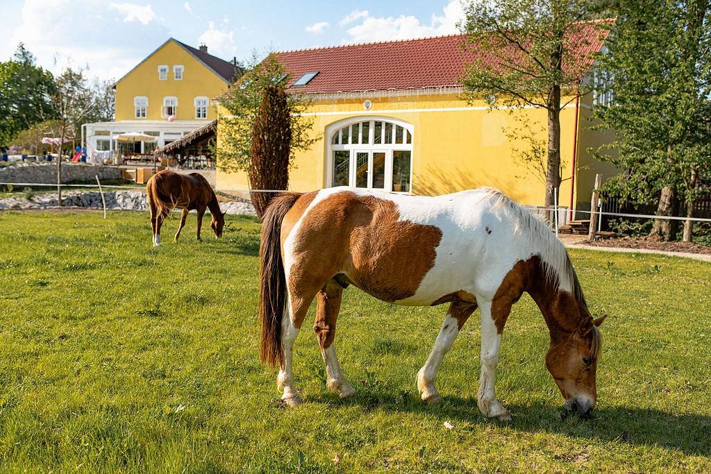 Mlýn Drásov - Okolí Prahy