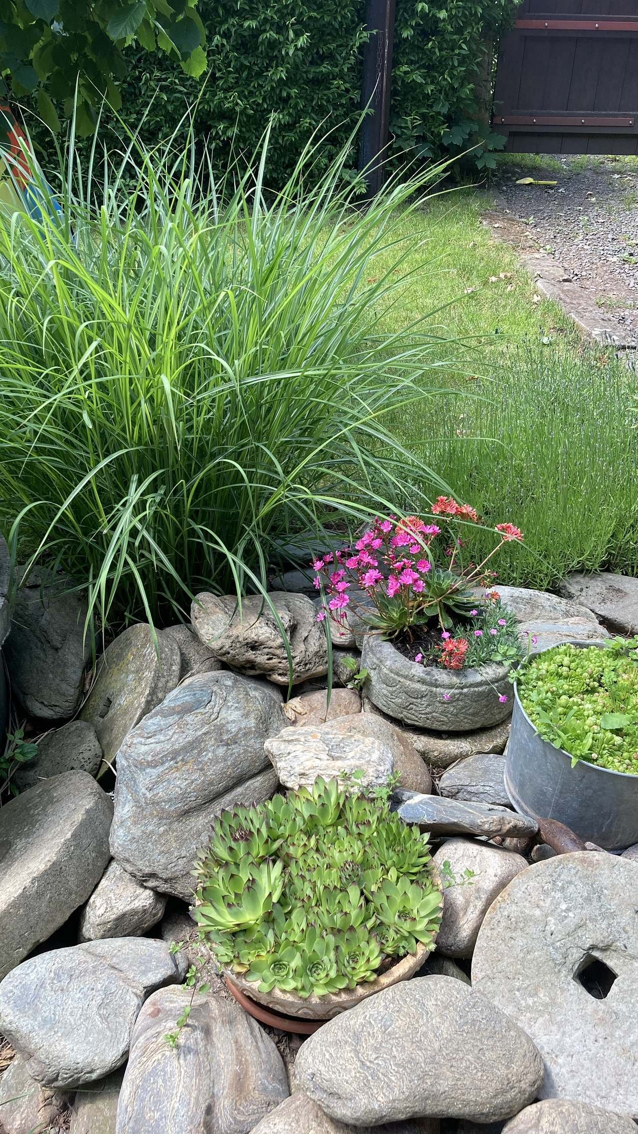 V každou roční dobu něco kvete