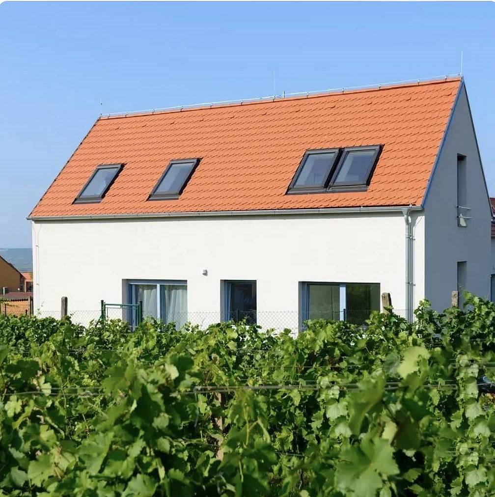 Vila Henrieta – soukromá vila s bazénem a výhledem Pálava - Pavlov