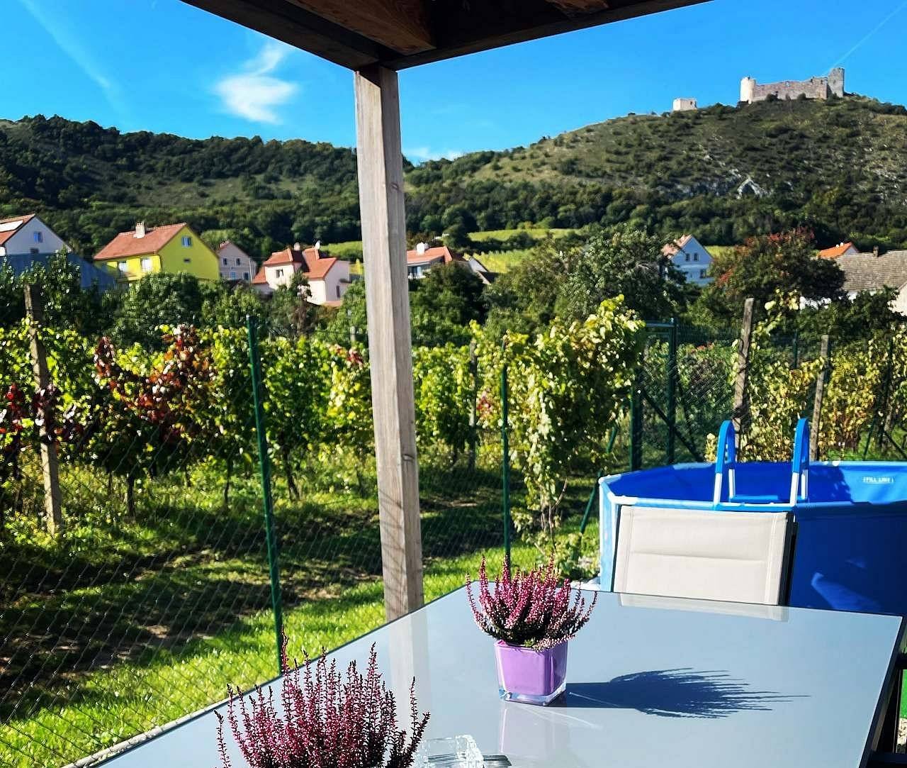 Výhled z pergoly a bazén