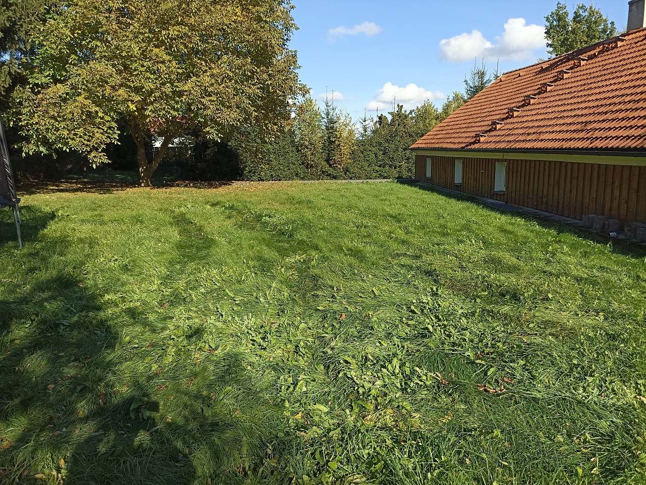 Zadní strana domu, detail části zahrady