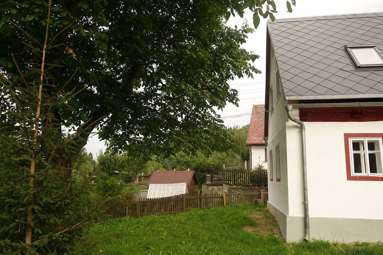 zahrada a stín pod ořešákem