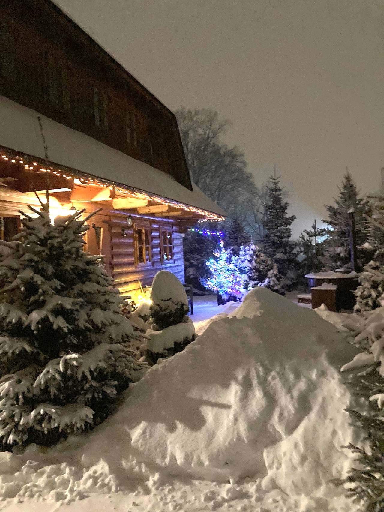 LIPTOVSKÁ DREVENICA - Liptovský Mikuláš