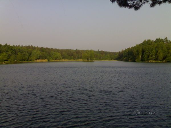 Biřička - Hradecké lesy