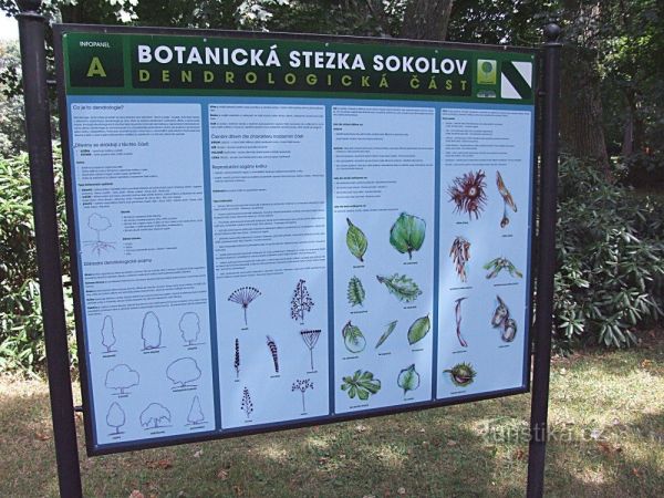 Botanická stezka Sokolov - tip na výlet