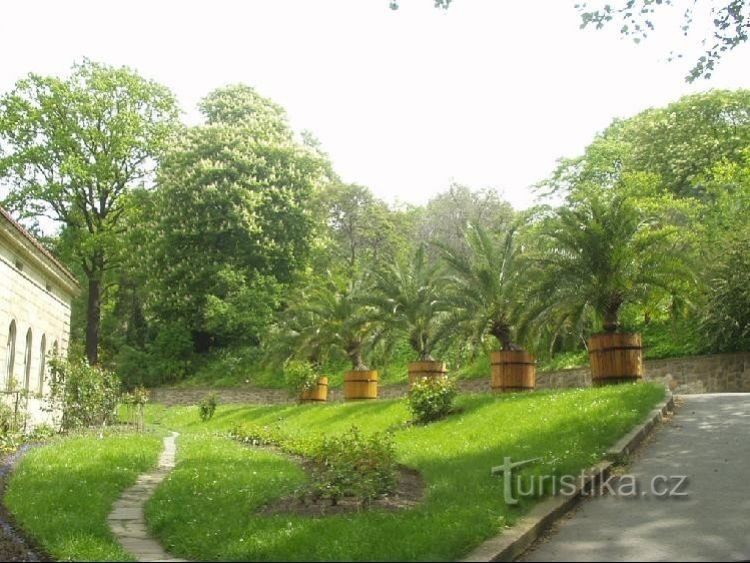 Botanická zahrada Na slupi