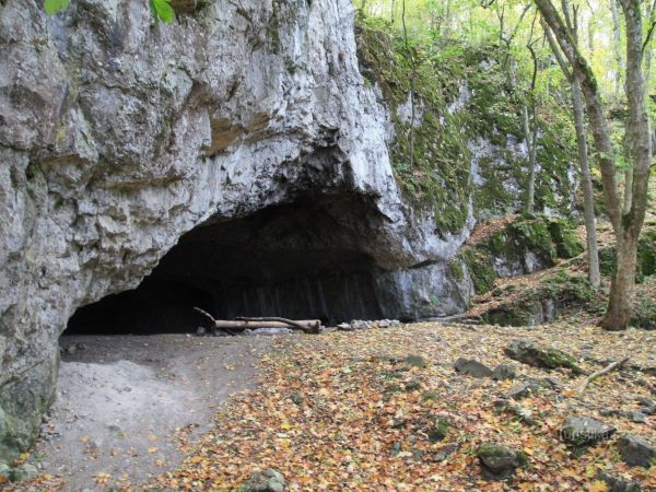 Brněnské vycházky - K jeskyni Pekárna a Kaprálovu mlýnu (16) - tip na výlet