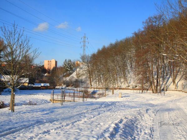 Brněnské vycházky - V zimě do Údolí oddechu (24)
