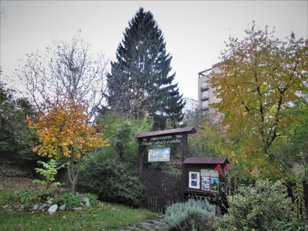 Brno-Královo Pole - Přírodní zahrada u smrku - tip na výlet