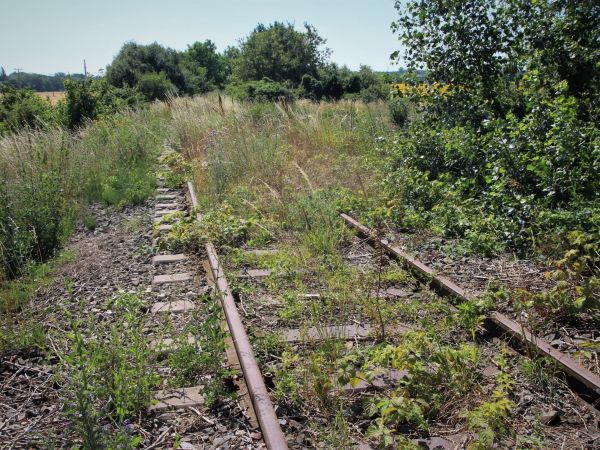 Bývalá železniční trať Hrušovany u Brna - Židlochovice - tip na výlet