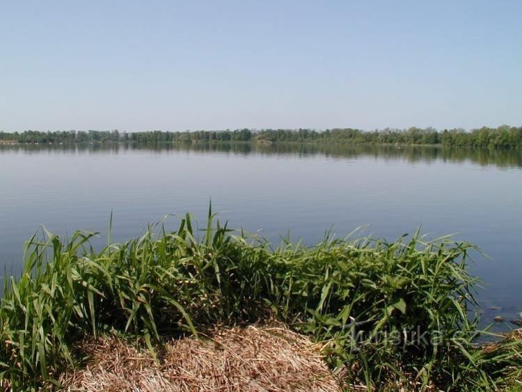 D. Bartošovický rybník