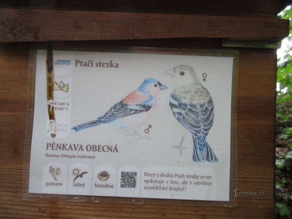 Divišov - rozhledna Špulka u Lbosína a naučná Ptačí stezka - tip na výlet