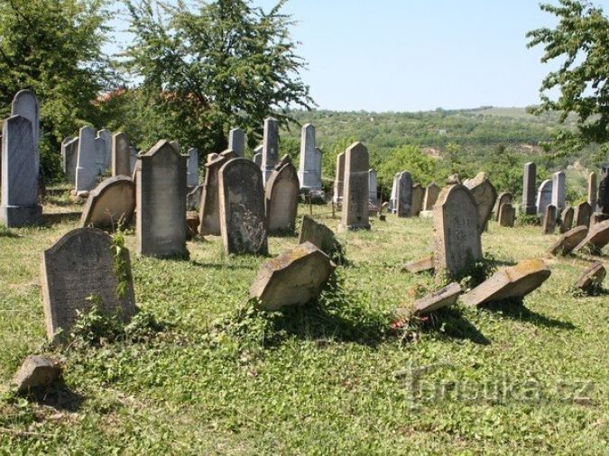 Dolní Kounice - židovský hřbitov