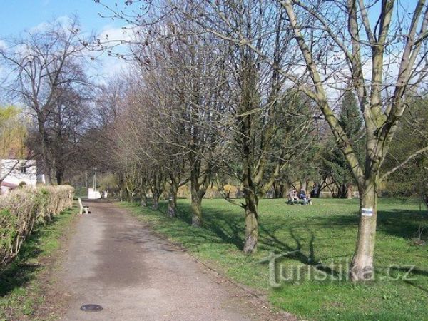 Duchcov-jarní procházka rozsáhlým zámeckým parkem