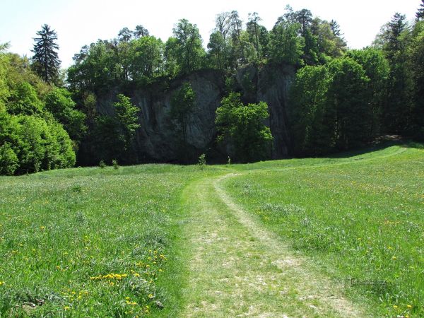 Holštejnská hradní skála a jeskyně Lidomorna - tip na výlet